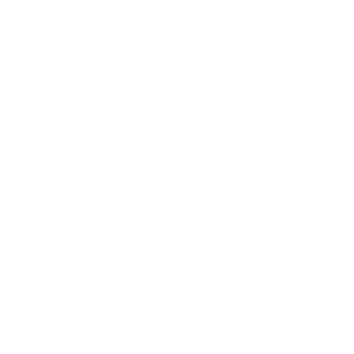 Bolt.new